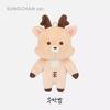 10Cm Kpop Riize Mini Doll Pendant Wonbin Sohee Keychain Valentine'S Day Pop-Up Store Bag Pendant Seungchan Anton Fans Collection