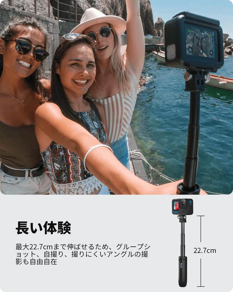 GoPro Official Accessory Shorty Mount (AFTTM-J01)