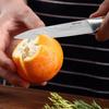 Japanese Style Kitchen Knife Stainless Steel Kitchen Fruit Paring Knife Perfect for Househould Fruit Peeler Cutter Slicer Knife