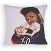 The WWeeknd XO Singer Pillow Case Antidustmite Pillowcase Invisible Zipper Silky Short Plush Sofa Cushion Cover