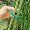 10-100Pcs Plant Fixed Clips Reusable Garden Greenhouse Clamp Bracket for Fixed Plants Vine Flower Seedling Stem Support Tools