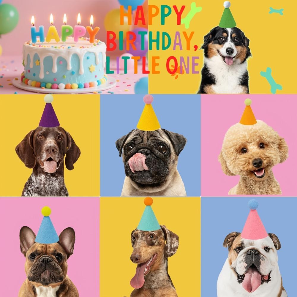 6pcs Animal Party Hats Cone-Shaped Birthday Hats Cats Dogs and Other Small Animals Durable Sewn Edge Polyester and Acrylic Blend