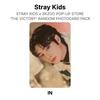 Stray Kids x SKZOO POP-UP STORE 'THE VICTORY' RANDOM PHOTOCARD PACK Official Photocard