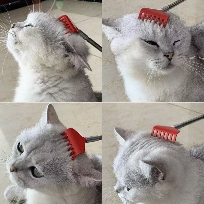 Retrattile per Animali Domestici Solletico Portatile Artifatto per Graffiare Cane Gatto Interattivo Giocattolo Solleticare Accarezzare Gatti Interattivo