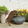 Vintage Metall Hund Gartenstatue Rustikale Tier Silhouette Gartenstatue Außenhof Dekoration