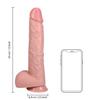 RealRock - Extra large realistic dildo with balls 33 cm