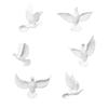 6 Pieces Pigeon Wall Art with Spread Feathers Resin Bird Decor Carved for Living Room, Entryway