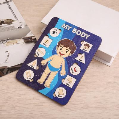 Çocuk Vücut Yapbozu Eşleştirme Oyunu Eğitici İnsan Vücudu Yapısı Okul Öncesi Öğrenme Ahşap Yapboz Küçük Çocuklar Anatomi Erkek Vücut Parçaları Yapbozu STEM Oyuncak