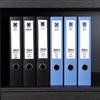 Deli A4 Thickened 55mm File Box