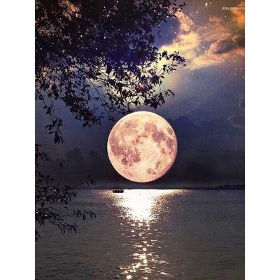 Pittura diamante 5D fai da te completa Paesaggio Luna Diamante Ricamo Punto Croce Decorazione per la casa Regalo fatto a mano
