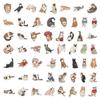 70 Sheets Kitten Stickers: Cute Cat Memes & Realistic Internet-Famous Cats Collection