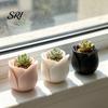 Unique Rose Design Planter 3D Printed Shaped Mini Flower Pot for Succulents Herbs Small Decorative Plant Container Plants Cute Tiny Cactus Office Home