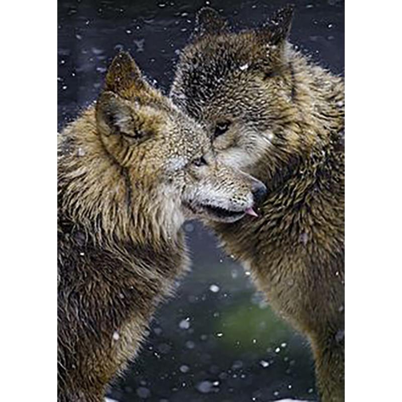 Diy Wolf 5D Diamond Painting Full Round Drill Animal Diamond Embroidery Cross Stitch Kit Mosaic Home Decor Wall Art Gift