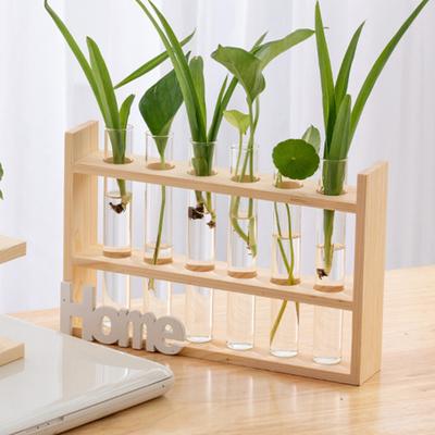 4 Pcs Vaso Hidropônico Arranjo de Flores Tubos de Propagação de Plantas Pequenos Vasos Teste de Vidro Inicial