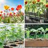 Plant Support Stake Rust Proof Dark Green Weather Proof Metal Flower Support Stake For Courtyard Garden 12 PCS