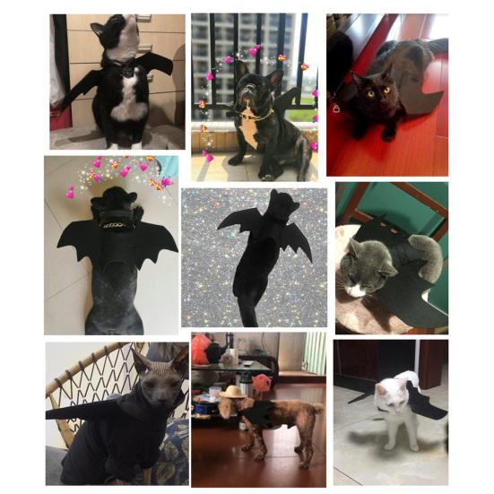 Non-stuffy Pet Wings Cat Bat Wings, Halloween Costume, Puppy Cosplay Outfit, Dark Night Cute for Cats Dogs Party Dress Up Accessory