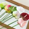 Fiore Artificiale Anthurium Rosso Flamingo Stampato in 3D per Matrimoni e Arredamento Casa