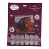 CRYSTAL ART Kit carte broderie diamant 18x18cm Cheval