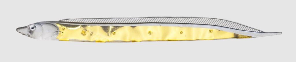 Fish Arrow Soft Lure Flash J Shirasu SW 3 Inch 5 Piece Per Pack #148 (3647)
