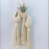 Handmade Nordic Bohemian Woven Tapestry Net Bag for Air Plants & Flowers