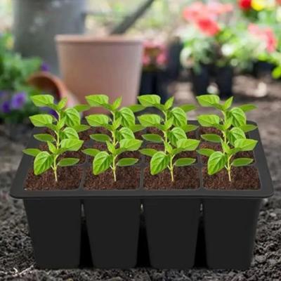 Silicone Nursery Tray Breathable Germination Trays Seeds Starting Tray  Greenhouse