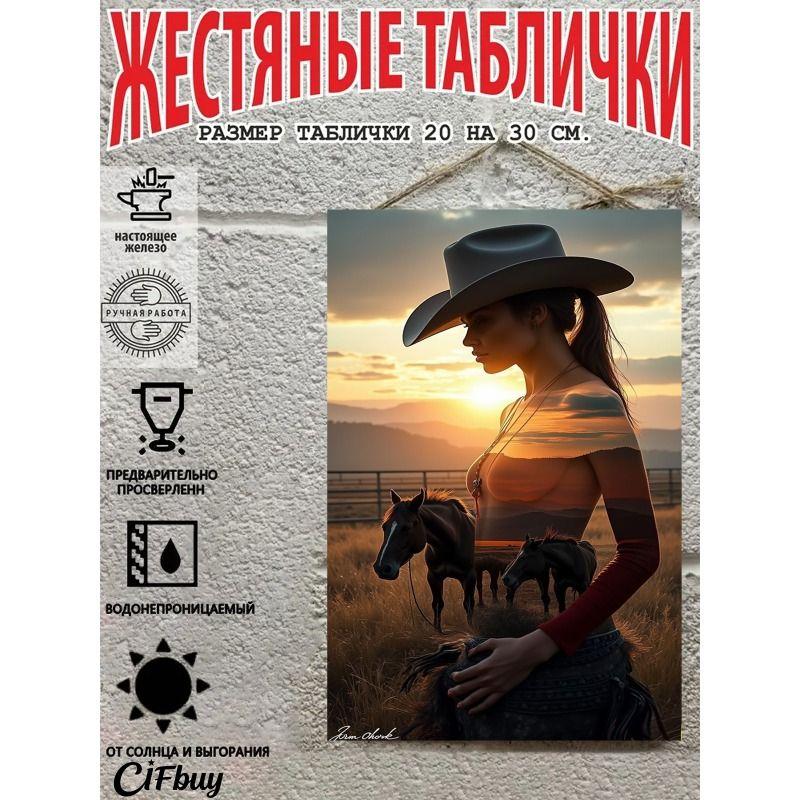 Cowboy on Horse Metal Tin Sign 20x30cm Rustic Wall Decor