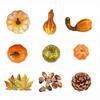 Autumn Pumpkin Decor Set: Realistic Mini Pumpkins, Pinecone & Maple Leaves