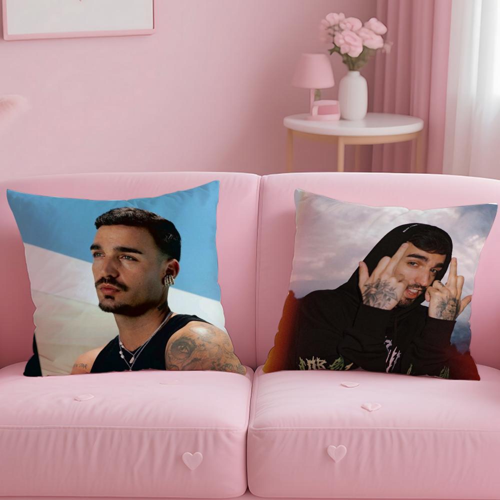 Singer D-Daniel A-Avery Kissenbezug Bequem Wendbarer Kissenbezug Ideal für Auto Sofa Schlafzimmer & Mehr