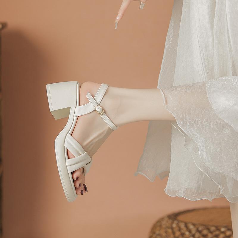 Wind versatile sandals women's open-toed thick-soled heightening skirt casual high-heeled thick-heeled women's shoes
