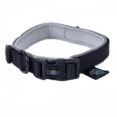 Dog Collar