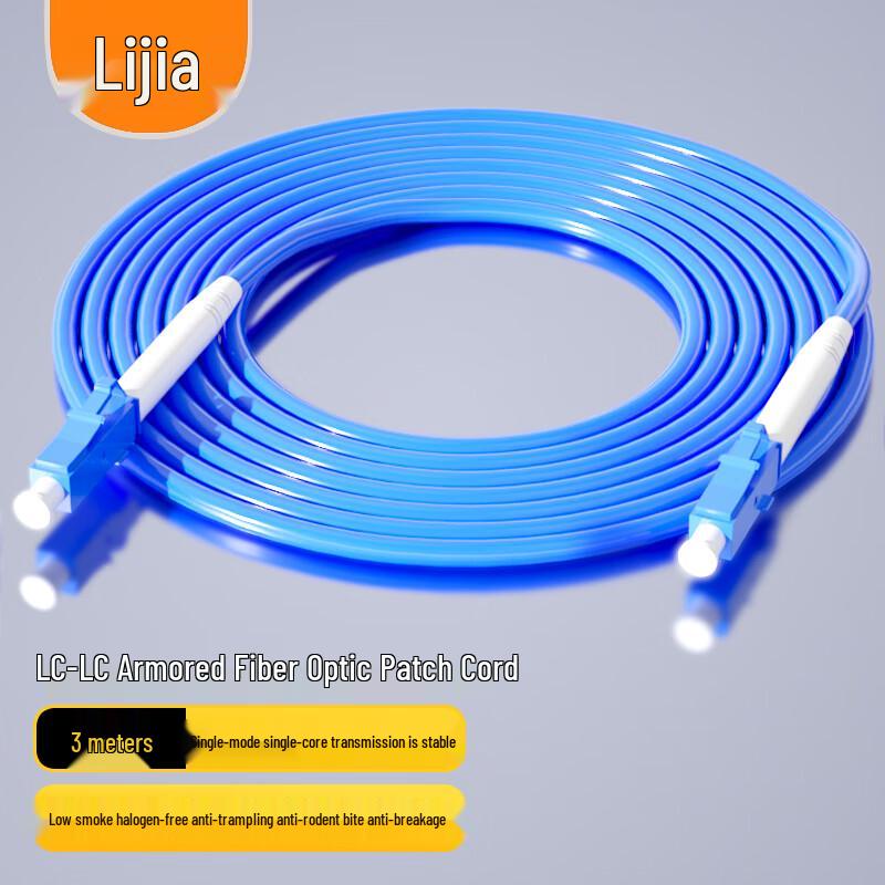 

LIJIA Telecom-Grade Armored Single-Mode Fiber Optic Patch Cable 3m
