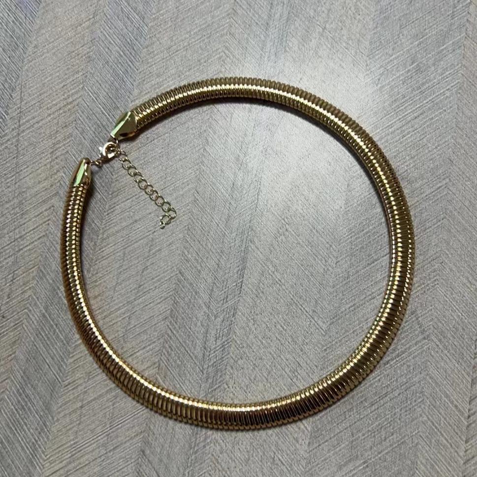Europäische & Amerikanische Frühjahrs-Breite Schlangenkette: Minimalistische Elastische Schlüsselbein-Halskette - Übertriebenes Vintage-Metall-Design
