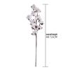 10-Head Natural Cotton Branches for Wedding Decoration Simulation Flowers Green Plants Handicrafts INS