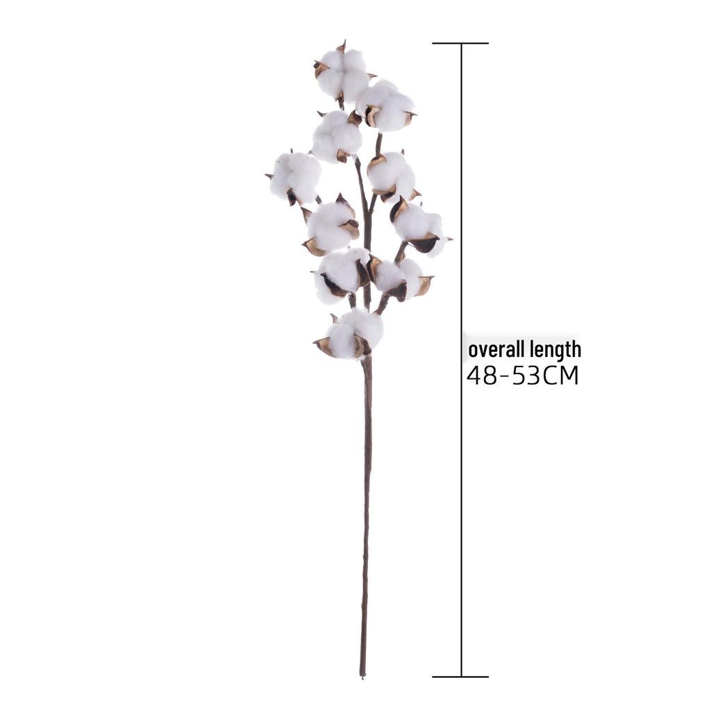 10-Head Natural Cotton Branches for Wedding Decoration Simulation Flowers Green Plants Handicrafts INS
