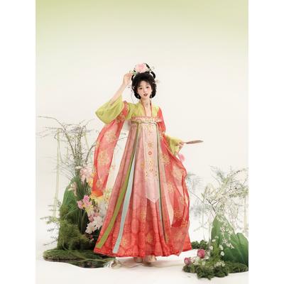 Stile Dinastia Tang Cinese Hanfu da Donna Pezzo Unico Lunghezza Petto Gonna Ricamata Set Quotidiano