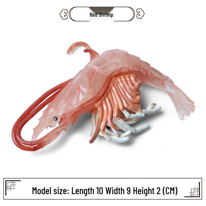Children's Aquarium Shrimp & Lobster Simulation Set