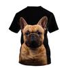 Tiger Pattern Tees Summer T Shirts Men Streetwear God Black 3D Print T Shirt Fashion O Neck Short Sleeve Tops