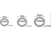 10pcs Stainless Steel 6 8 10mm Twist Rope Circle Connector Closed Jump Rings Split Ring Thick for DIY Jewelry Making Supplies