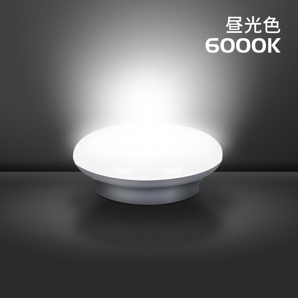 Ceiling Light LED Small 6 Tatami 150W Type Equivalent 15W 1600lm Entrance Gate Light Corridor Stairs Kitchen Storage Washroom Toilet Ceiling Lighting