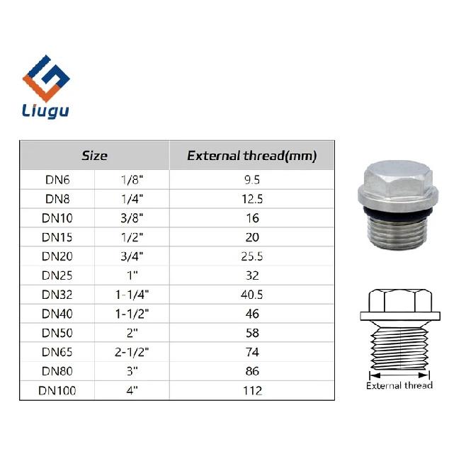 Hexagonal Flange End Cap 1/8 "1/4" 3/8 "1/2" 3/4 "1" -2 "BSP Male Thread 304 Stainless Steel Pipe Fitting - Oil Plug, Pipe Plug