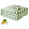 Jiuzhoulou Skin-Friendly Antibacterial Tencel-like Summer Quilt