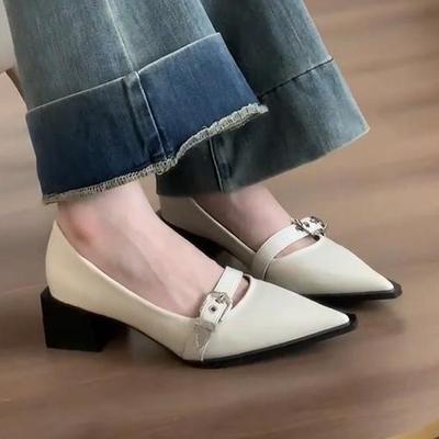 Petites chaussures Mary Jane pointues style britannique en cuir pour femmes 2025 nouvelles mode rétro boucle de ceinture une pédale chaussures simples talon épais