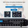 Weishu FD-390-A Conference & Campus Broadcast System (CN Version)