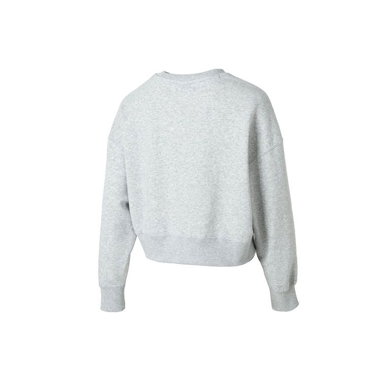 Puma Letter Logo Embroidered Running Sports Fitness Casual American Hoodie Women Hoodies Gray 626169-04