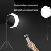 Beiyang LED Photography Fill Light Softbox Kit