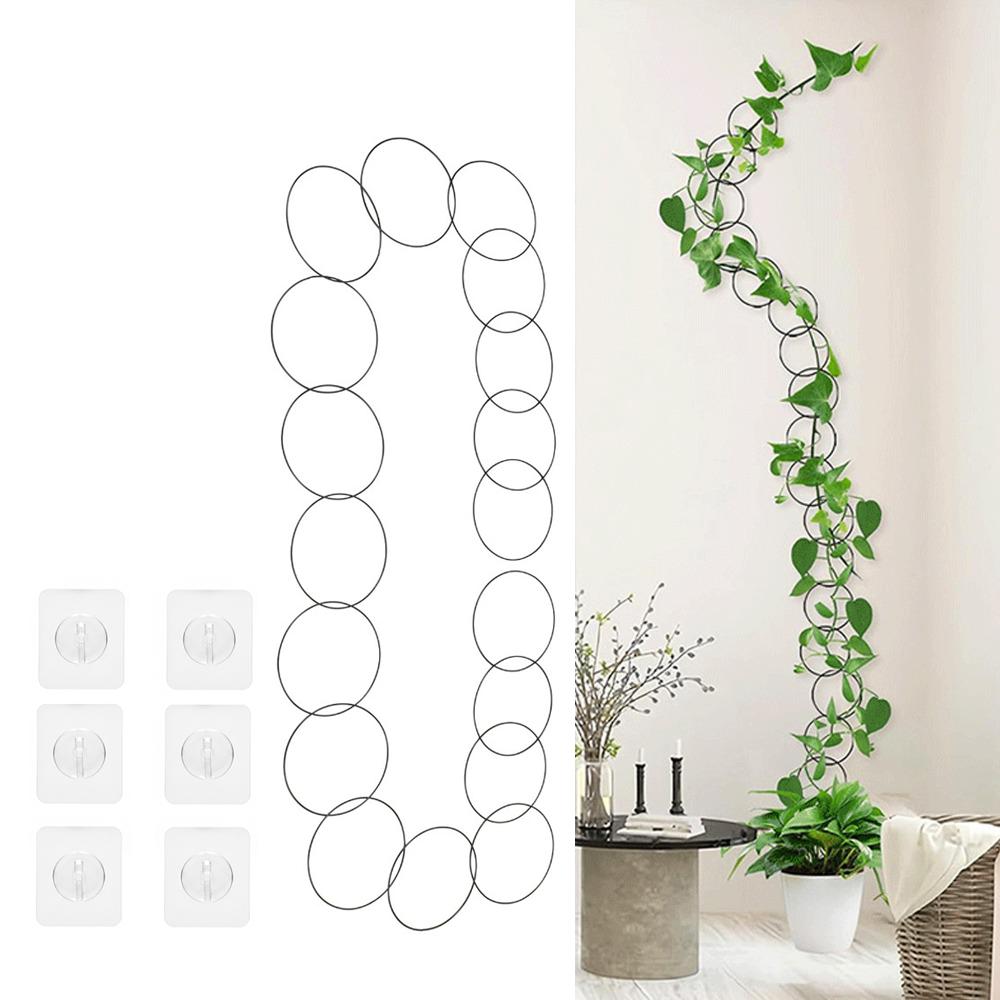 Suport Rotund pentru Plante cu Lanț Suport de Perete Impermeabil pentru Plante Utilizare pentru Creșterea Plantelor Acasă 18PCS