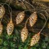 Gold Silver Fake Pine Cone LED String Lights 10/20/40LED Fake Plants LED Light Garland  New Year