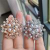 New Luxury Fashion Hollow Zircon Pearl Snowflake Brooches for Women Charm Crystal Flower Pins Suit Zircon Accessories Gift