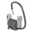 2 Pcs Ignition Coil Fit For 799651 543477 499447 592846 691060