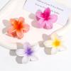 3Pcs/Set Sweet Flower Colroful Gradient Hair Claws Ponytail Cip Clamp Barrettes Hairpins For Women Girl Beach Hair Accessories